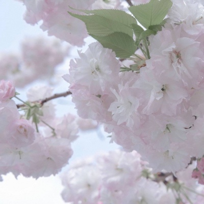 敦化FurryQQ群介绍